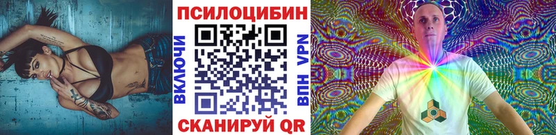 дарнет шоп  Лобня  Псилоцибиновые грибы Psilocybe 